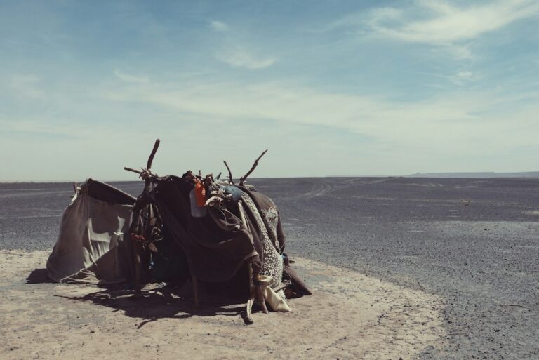 Why Every Explorer Needs a Reliable Desert Survival Kit